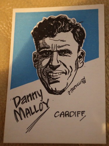 Cardiff city danny malloy - city,
